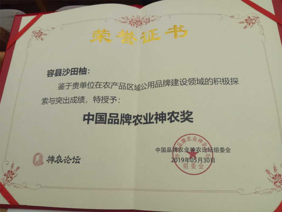 容县沙田柚,获得了首届中国品牌农业神农奖