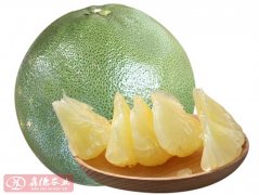 泰国考雅青柚_优质泰国考雅青柚苗批发供应商