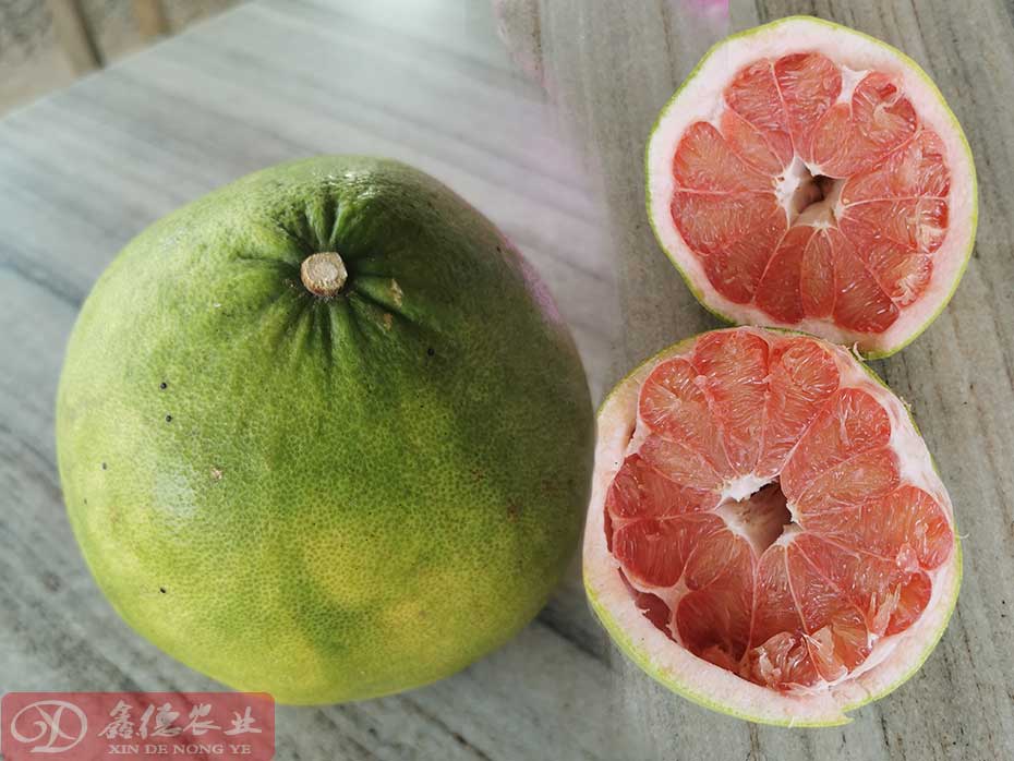 泰国红宝石青柚海南气候可以种植吗？